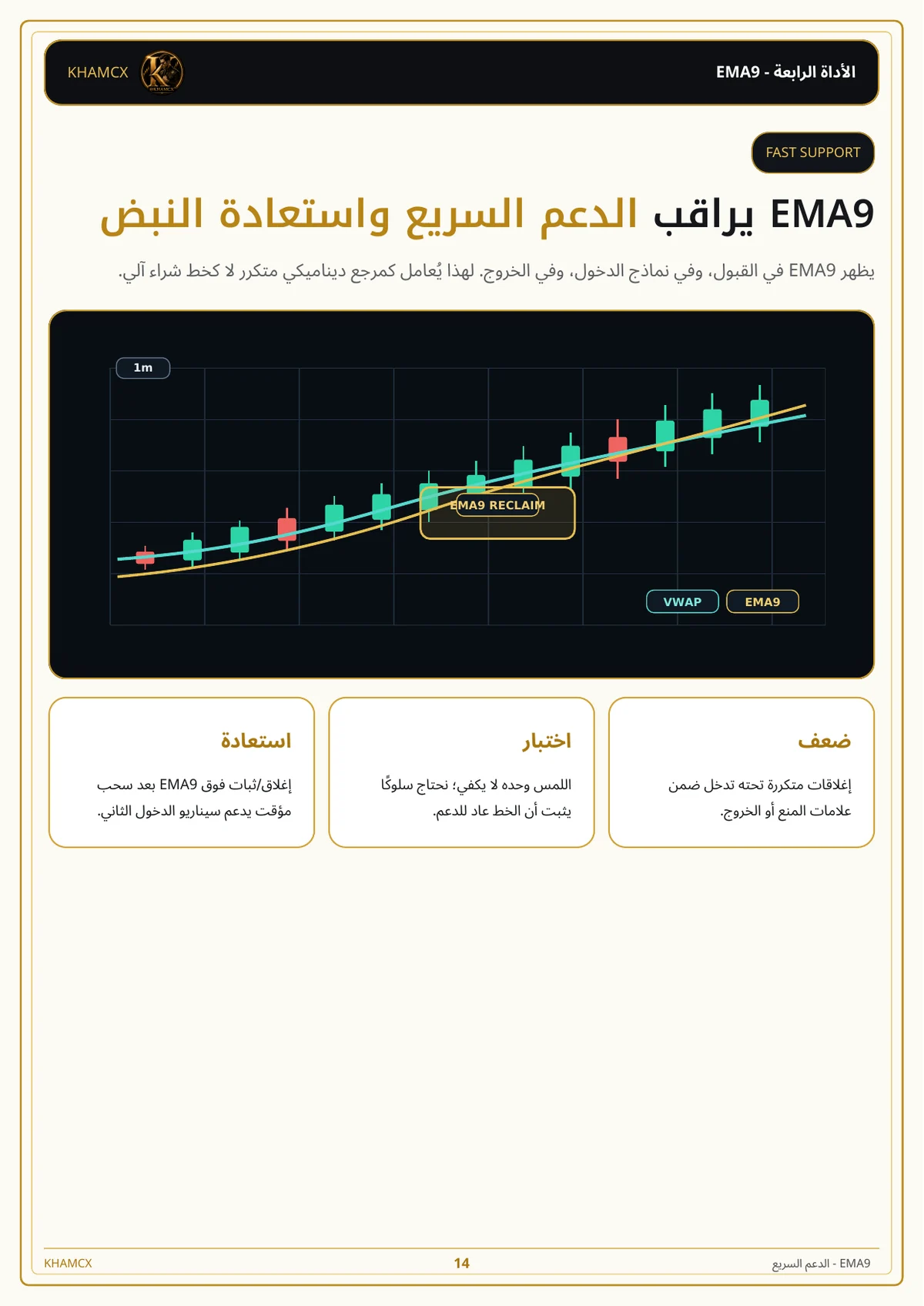 معاينة المنتج 2 — الدليل النخبوي لتداول عملات الميم الجديدة