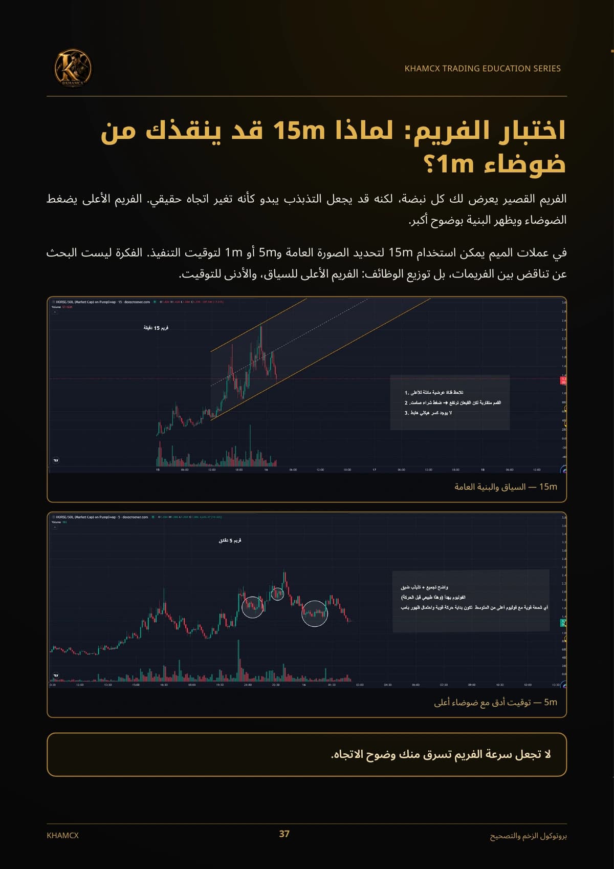معاينة المنتج 3 — بروتوكول الزخم والتصحيح